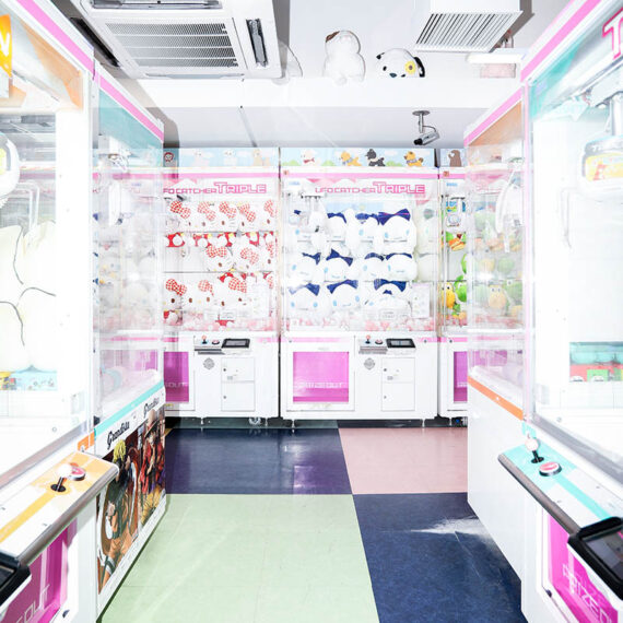 Gdzie mój pluszak?!